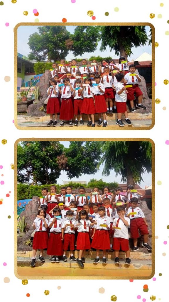 WhatsApp Image 2025 11 18 at 11.30.12